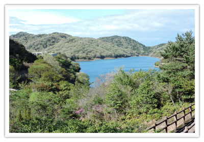 姫路市自然観察の森から桜山貯水池を眺める写真
