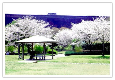 桜山公園のあずまやの写真