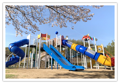 桜山公園の大型複合遊具の写真